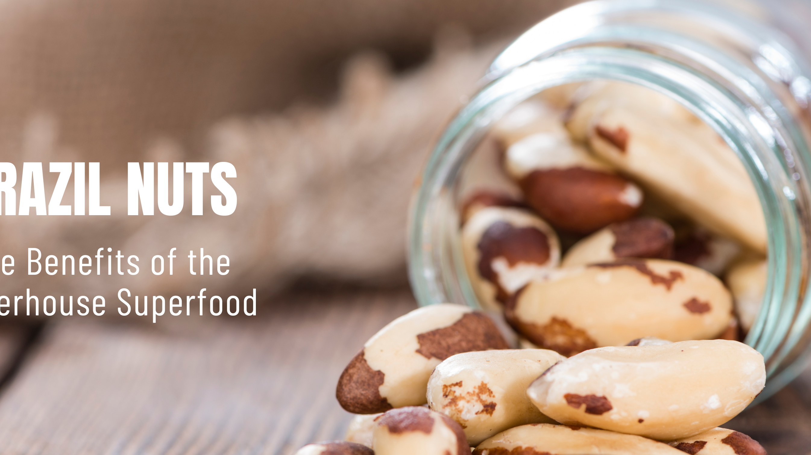 Brazil Nuts l The Benefits of the Powerhouse Superfood