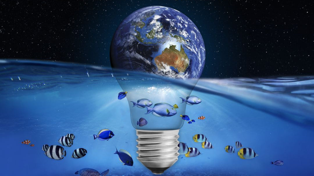 Earth Hour 2022 - Let's Switch off and #ShapeOurFuture - WEARORGANIC