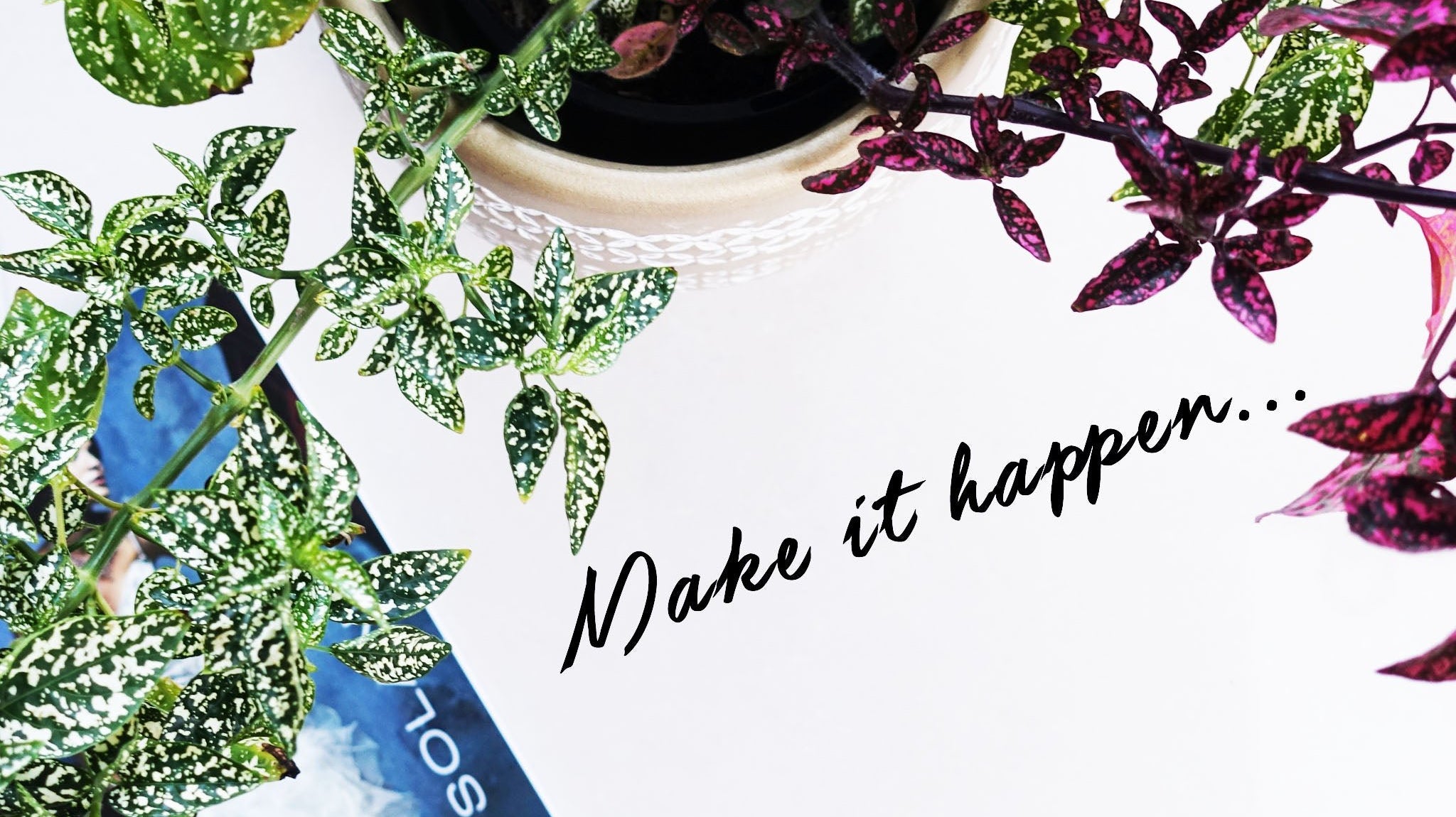 STEP IT UP: Motivation - WEARORGANIC