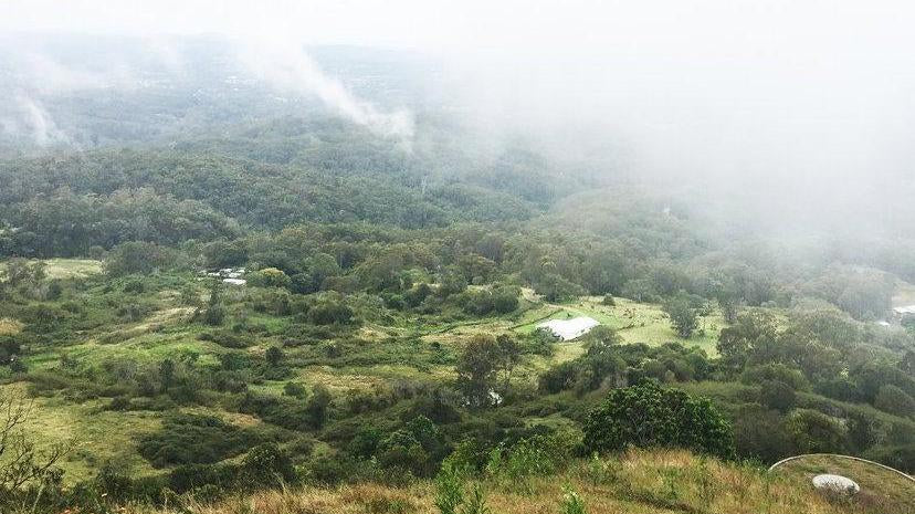 Wear Organic & Our Principles - WEARORGANIC